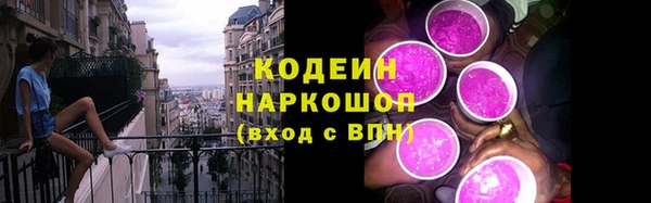хмурый Алексин