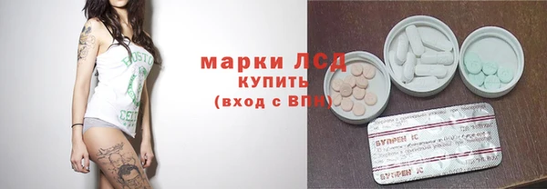 хмурый Алексин