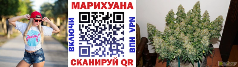 Шишки марихуана марихуана  Бабушкин 